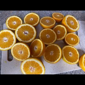 Meet your Posher, Darlene